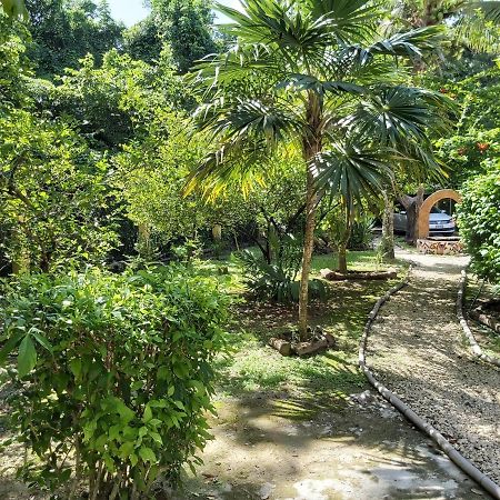 فيلا Mini Pini Bird Watching And Cenote Loft كوزوميل المظهر الخارجي الصورة