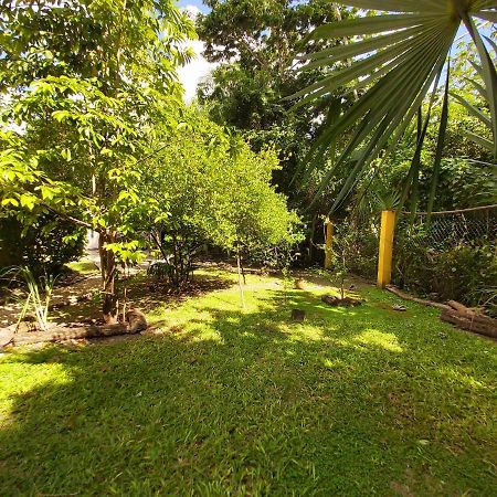 فيلا Mini Pini Bird Watching And Cenote Loft كوزوميل المظهر الخارجي الصورة