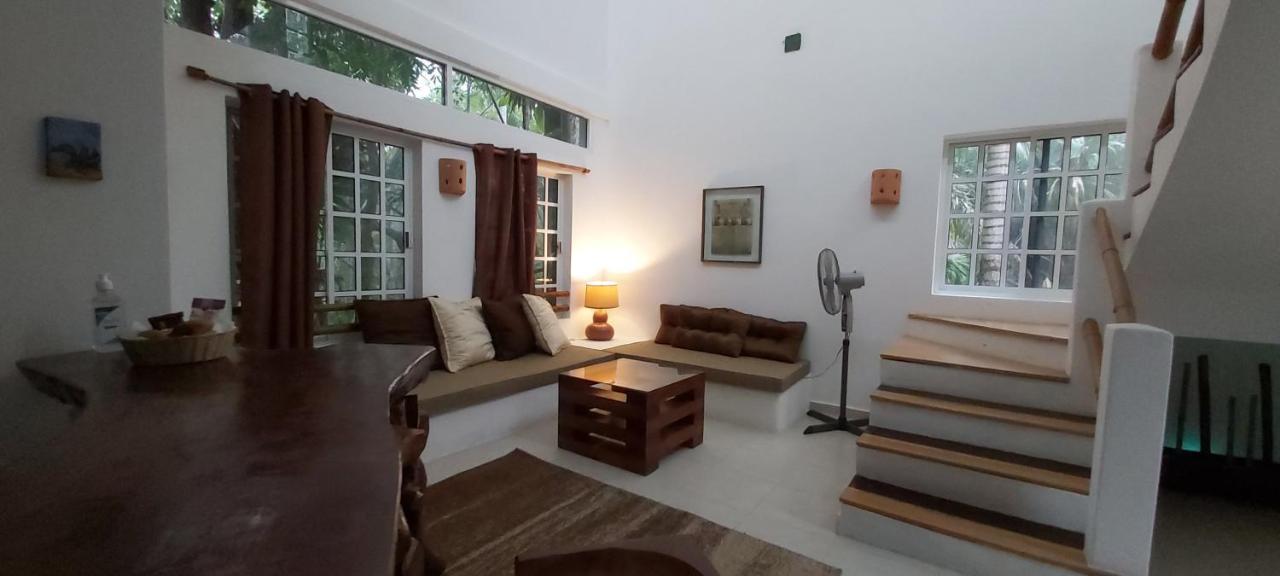 فيلا Mini Pini Bird Watching And Cenote Loft كوزوميل المظهر الخارجي الصورة
