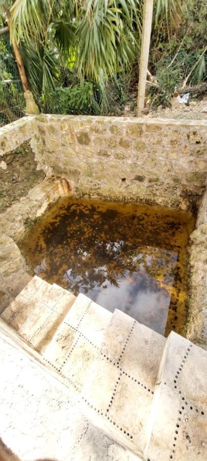 فيلا Mini Pini Bird Watching And Cenote Loft كوزوميل المظهر الخارجي الصورة
