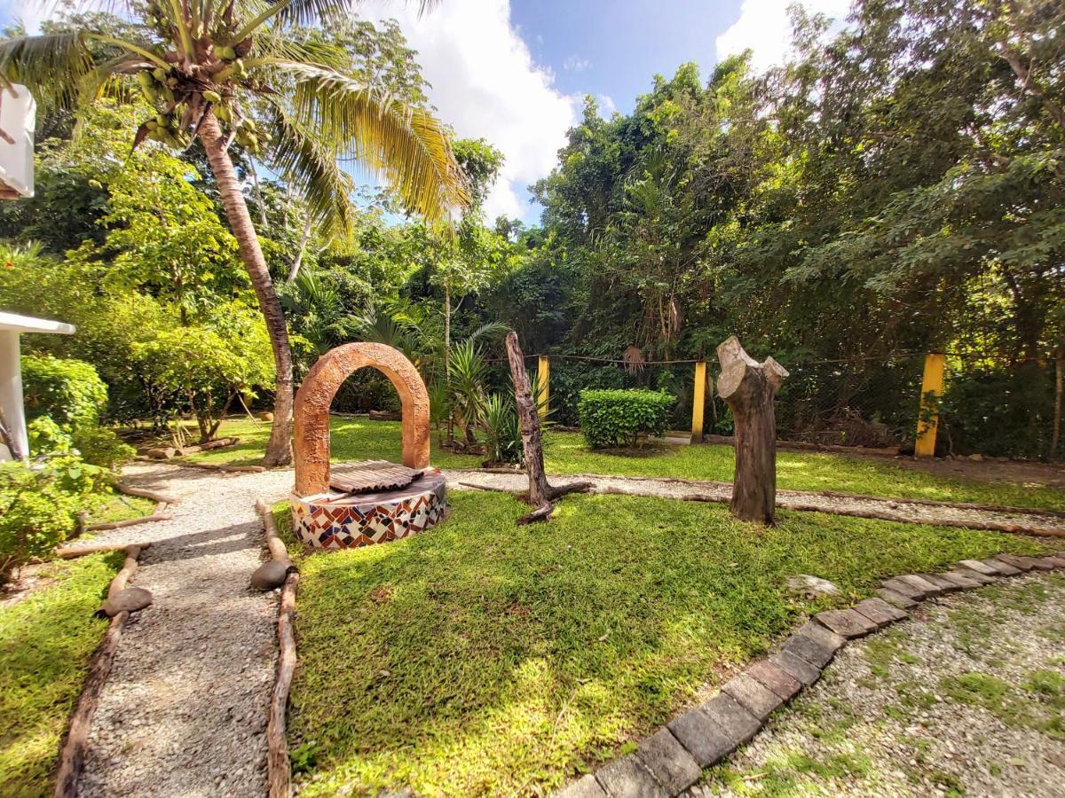 فيلا Mini Pini Bird Watching And Cenote Loft كوزوميل المظهر الخارجي الصورة