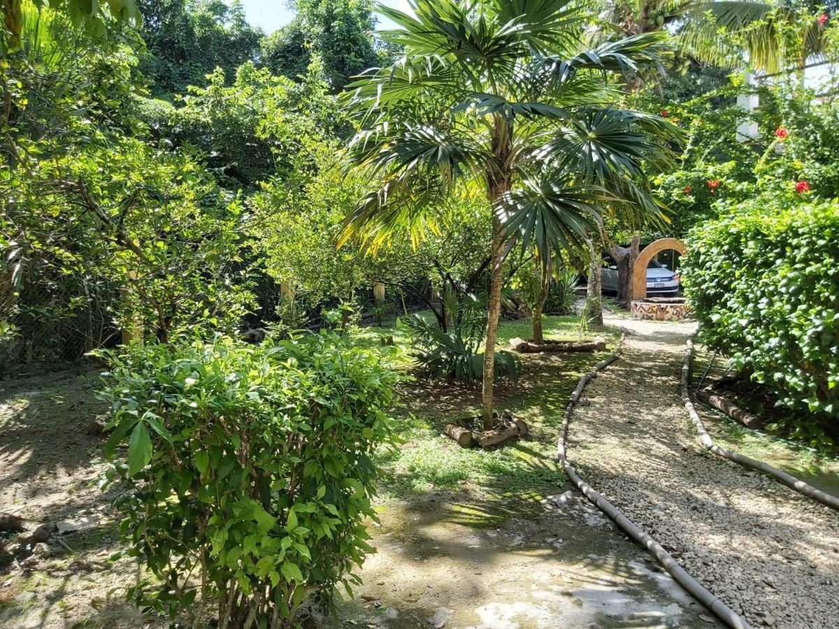 فيلا Mini Pini Bird Watching And Cenote Loft كوزوميل المظهر الخارجي الصورة